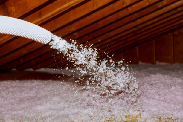 Best Insulation Inspection Services  in Norwood, PA