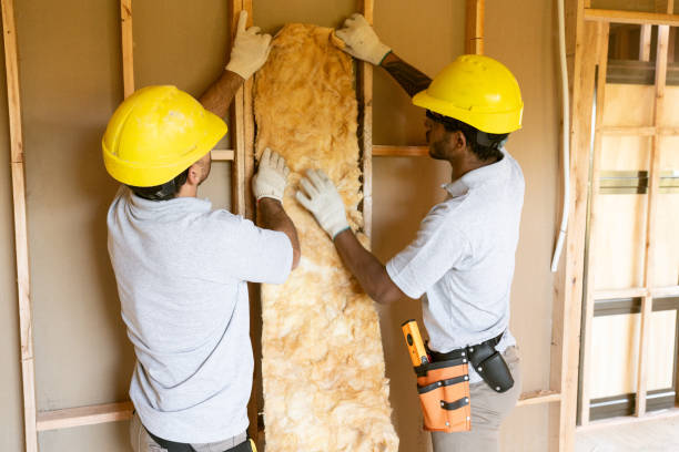 Best Insulation Contractors for Homes  in Norwood, PA